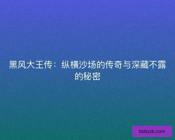 黑风大王传：纵横沙场的传奇与深藏不露的秘密
