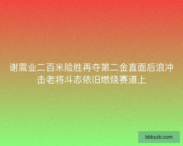 谢震业二百米险胜再夺第二金直面后浪冲击老将斗志依旧燃烧赛道上